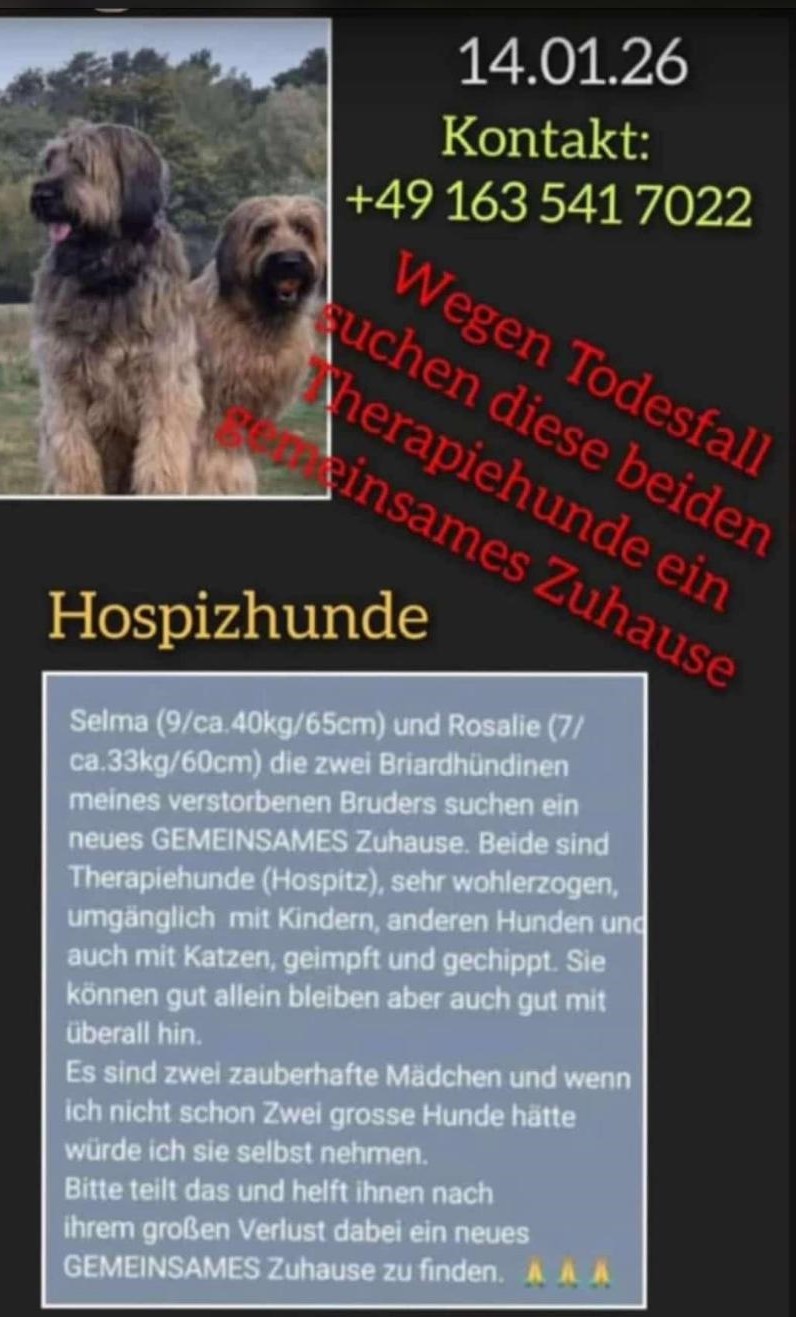 Hospizhunde.jpg